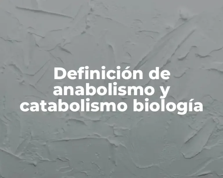 Definición de anabolismo y catabolismo biología