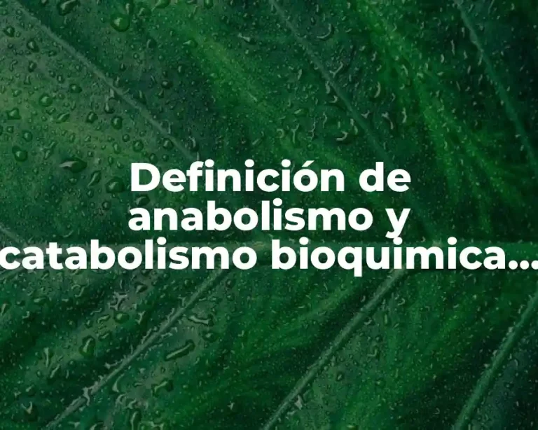 Definición de anabolismo y catabolismo bioquimica conceptos esenciales