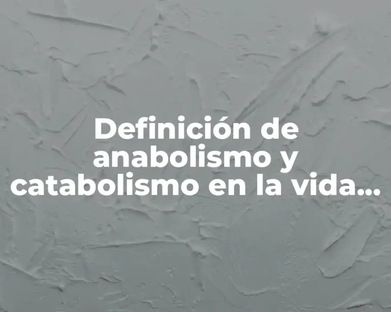 Definición de anabolismo y catabolismo en la vida cotidiana
