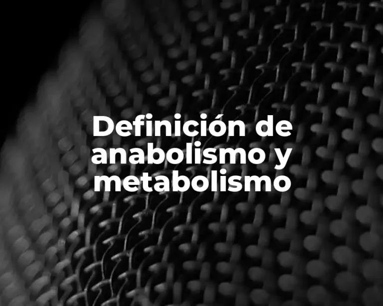 Definición de anabolismo y metabolismo