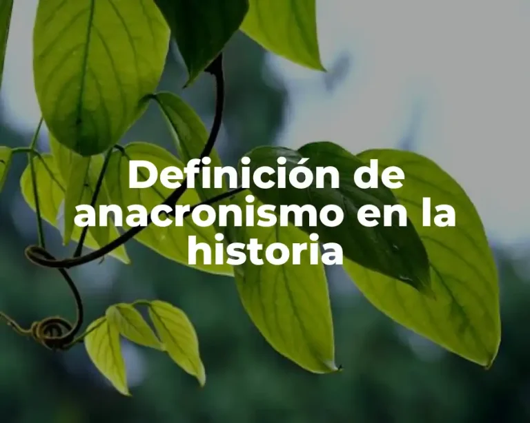 Definición de anacronismo en la historia
