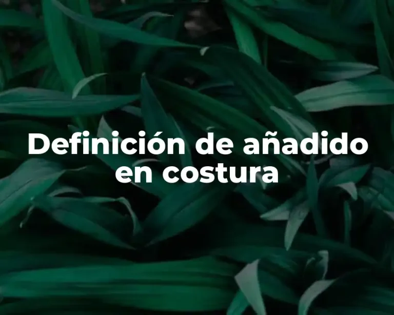 Definición de añadido en costura