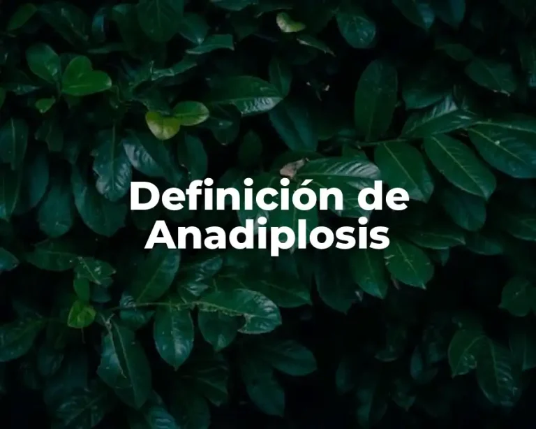 Definición de Anadiplosis