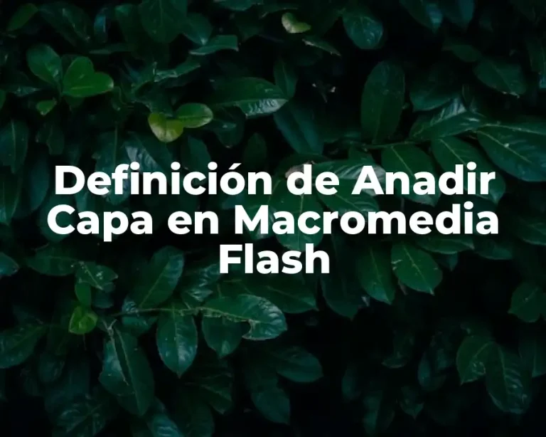 Definición de Anadir Capa en Macromedia Flash