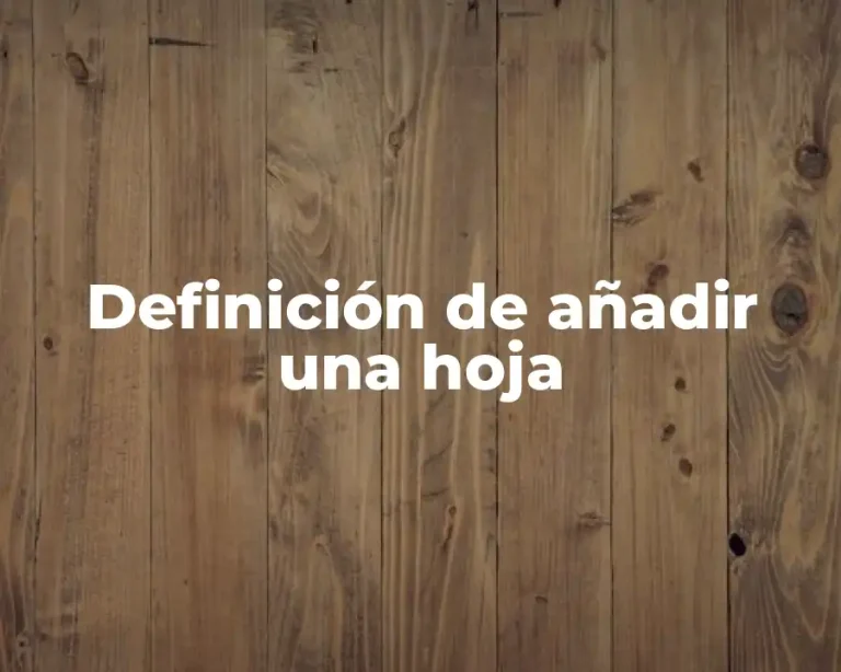Definición de añadir una hoja