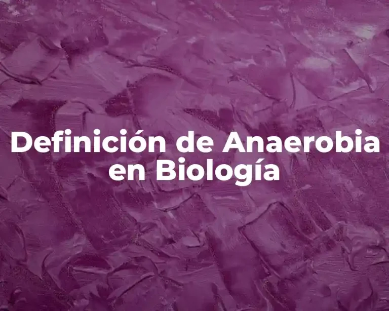 Definición de Anaerobia en Biología