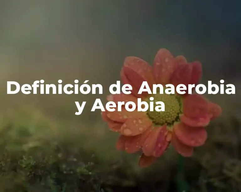 Definición de Anaerobia y Aerobia
