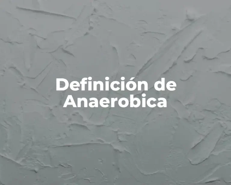 Definición de Anaerobica