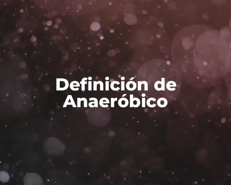 Definición de Anaeróbico