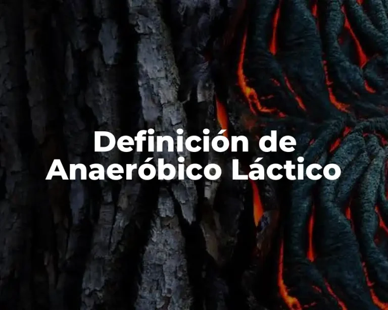 Definición de Anaeróbico Láctico