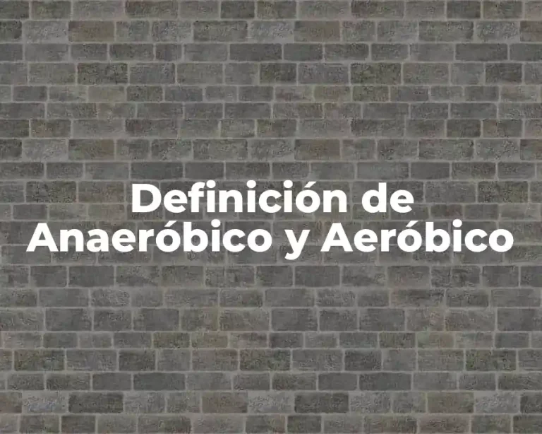 Definición de Anaeróbico y Aeróbico