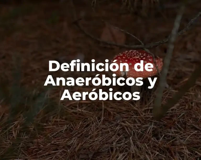Definición de Anaeróbicos y Aeróbicos