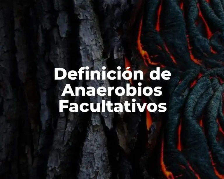 Definición de Anaerobios Facultativos