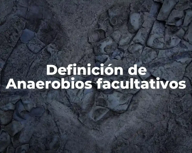 Definición de Anaerobios facultativos