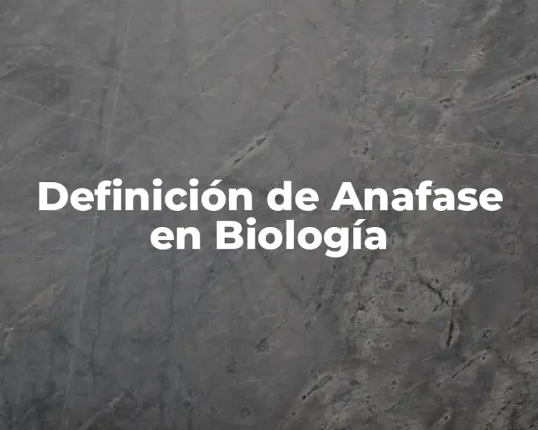 Definición de Anafase en Biología