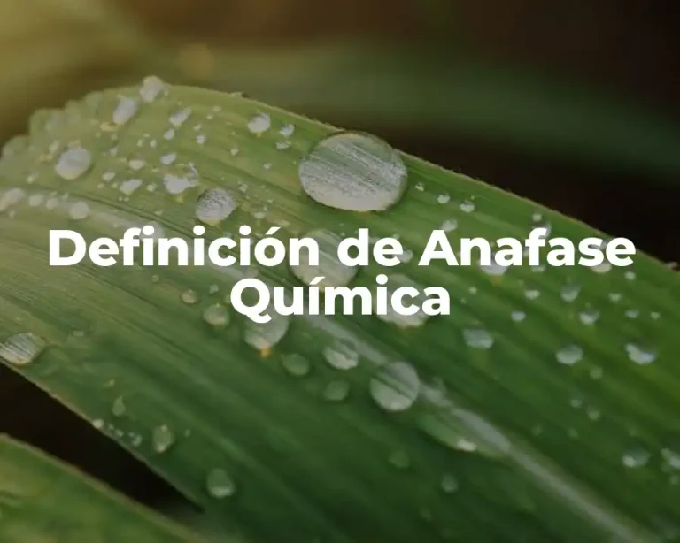 Definición de Anafase Química