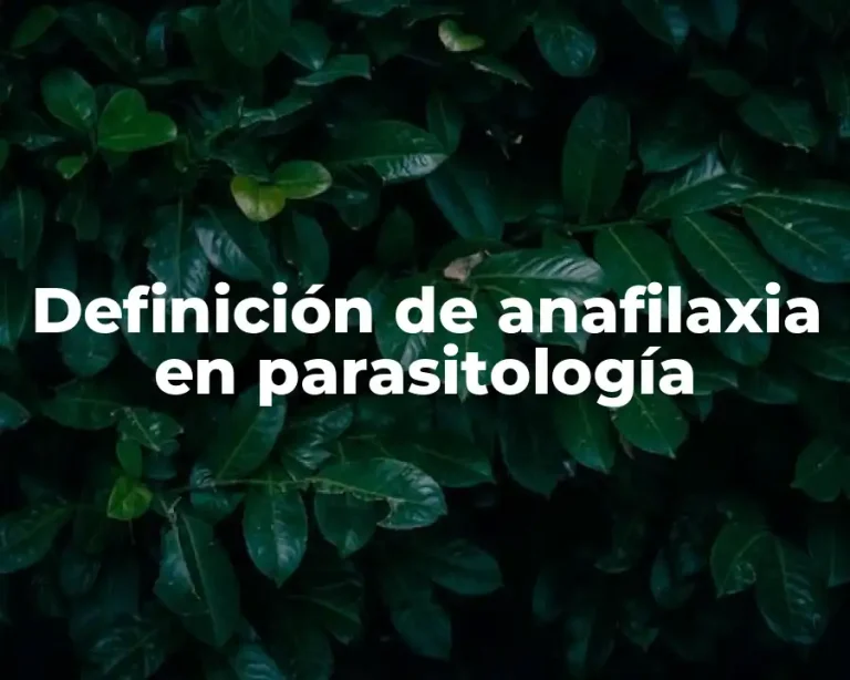 Definición de anafilaxia en parasitología