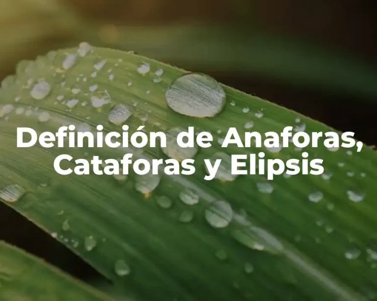 Definición de Anaforas, Cataforas y Elipsis