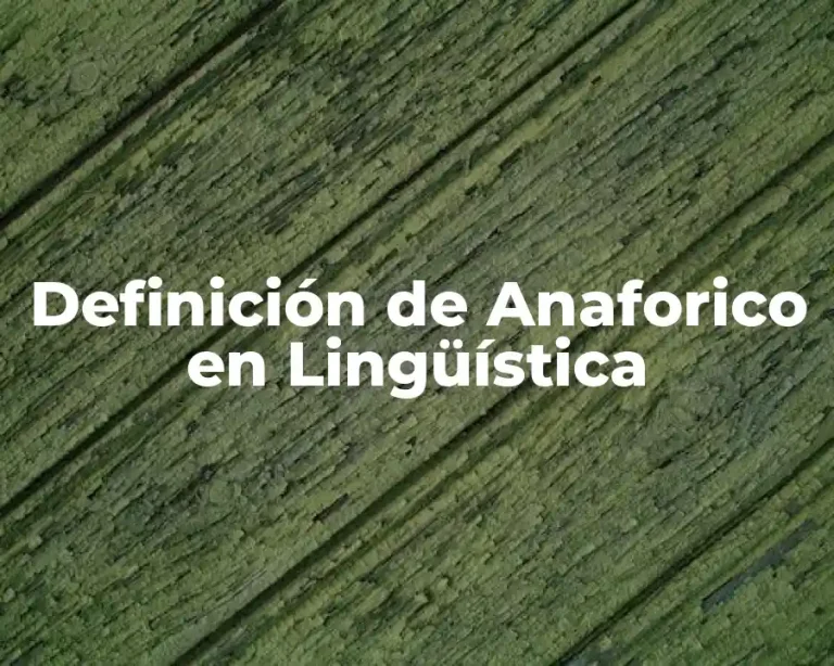 Definición de Anaforico en Lingüística