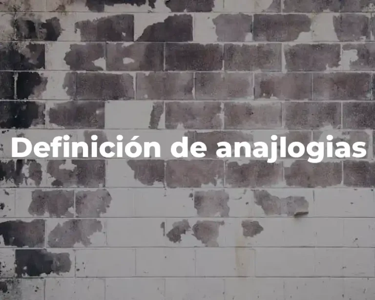 Definición de anajlogias