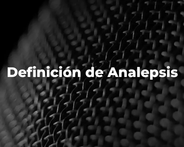 Definición de Analepsis