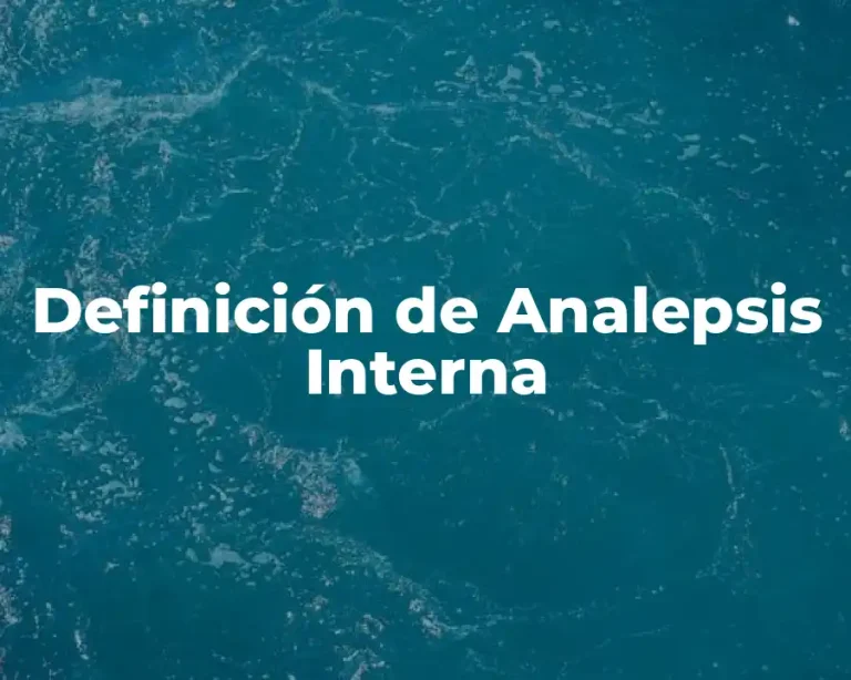 Definición de Analepsis Interna