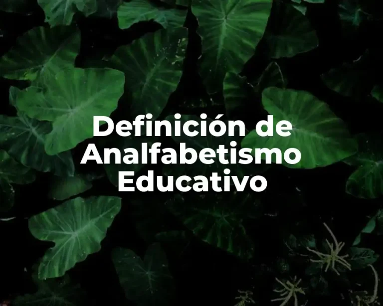Definición de Analfabetismo Educativo