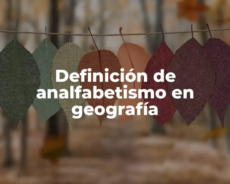 Definición de analfabetismo en geografía