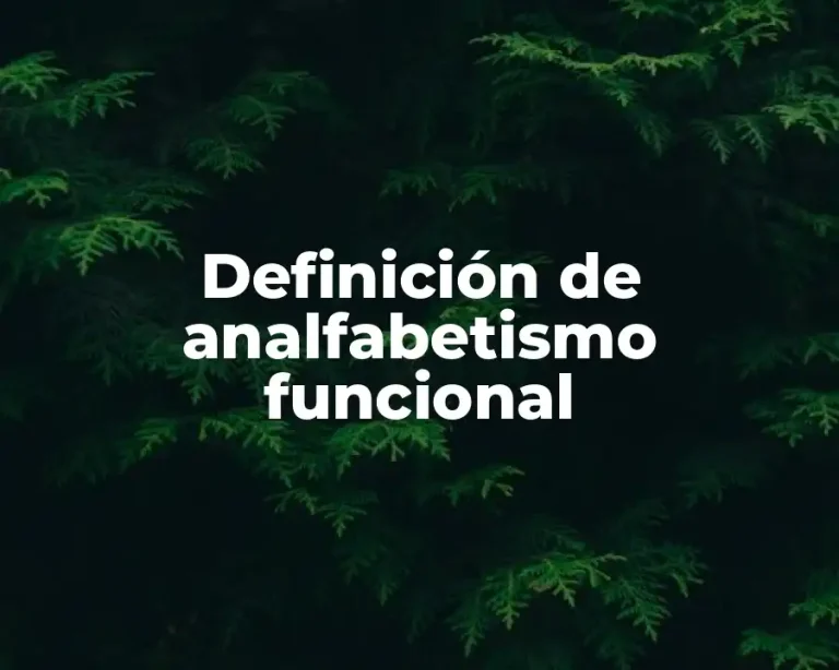 Definición de analfabetismo funcional