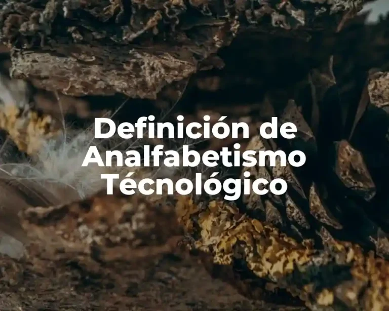 Definición de Analfabetismo Técnológico