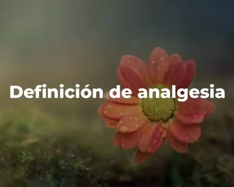 Definición de analgesia