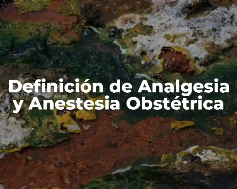 Definición de Analgesia y Anestesia Obstétrica