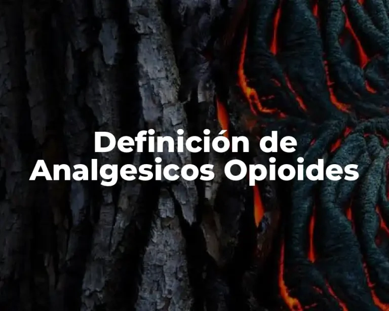 Definición de Analgesicos Opioides