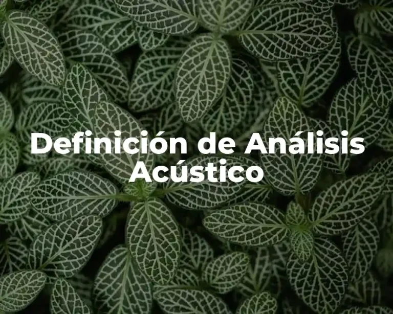 Definición de Análisis Acústico