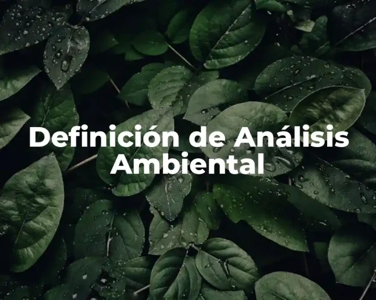 Definición de Análisis Ambiental