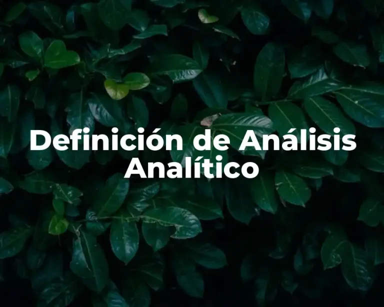 Definición de Análisis Analítico
