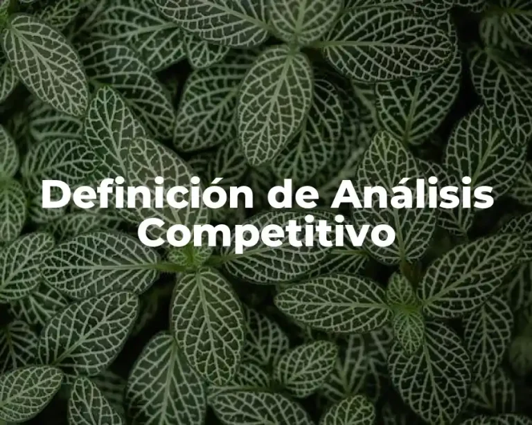 Definición de Análisis Competitivo