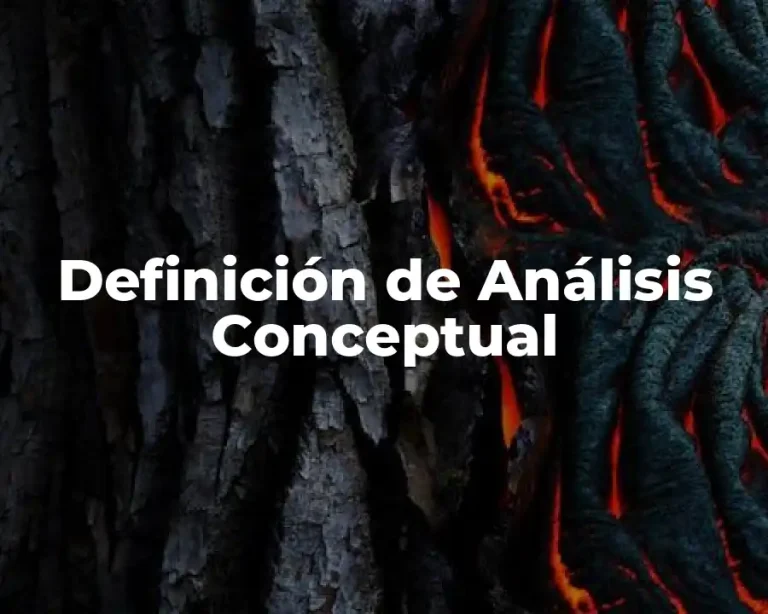 Definición de Análisis Conceptual