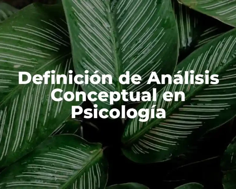 Definición de Análisis Conceptual en Psicología