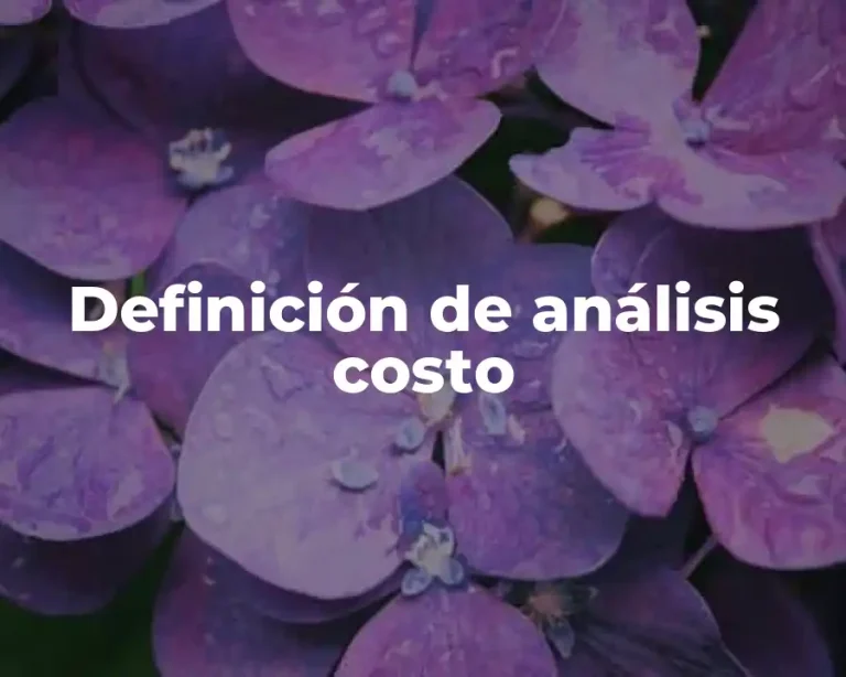 Definición de análisis costo