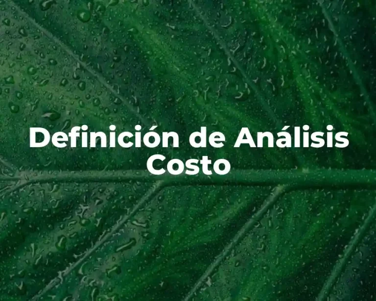 Definición de Análisis Costo