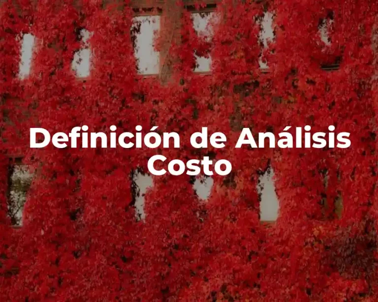 Definición de Análisis Costo