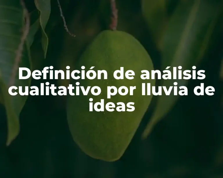 Definición de análisis cualitativo por lluvia de ideas