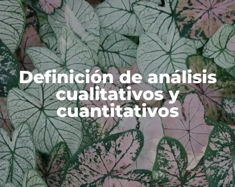 Definición de análisis cualitativos y cuantitativos