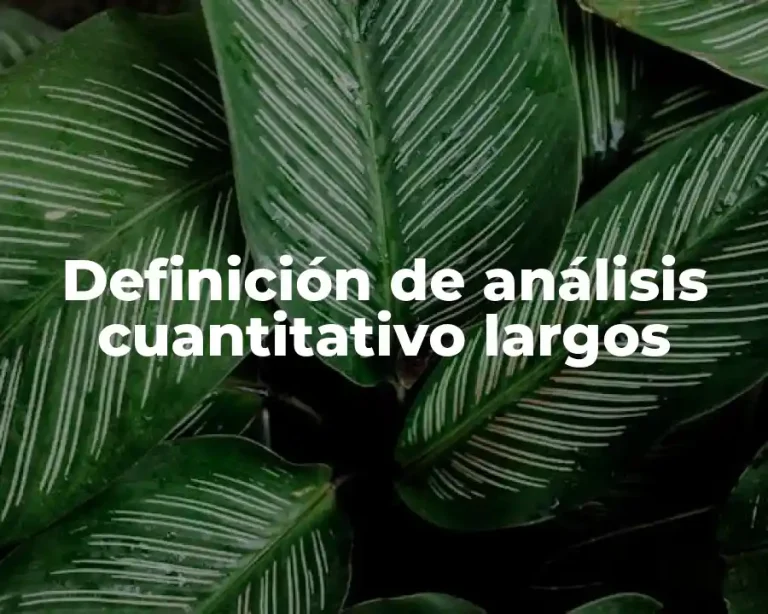 Definición de análisis cuantitativo largos