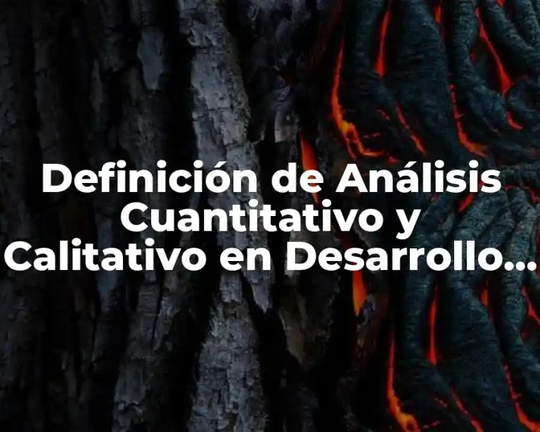 Definición de Análisis Cuantitativo y Calitativo en Desarrollo Comunitario