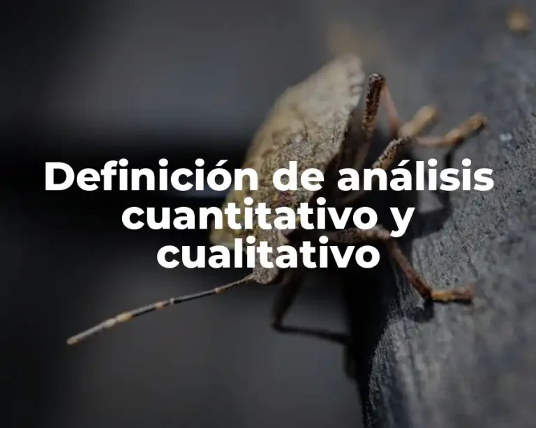 Definición de análisis cuantitativo y cualitativo