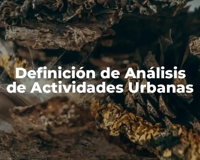 Definición de Análisis de Actividades Urbanas