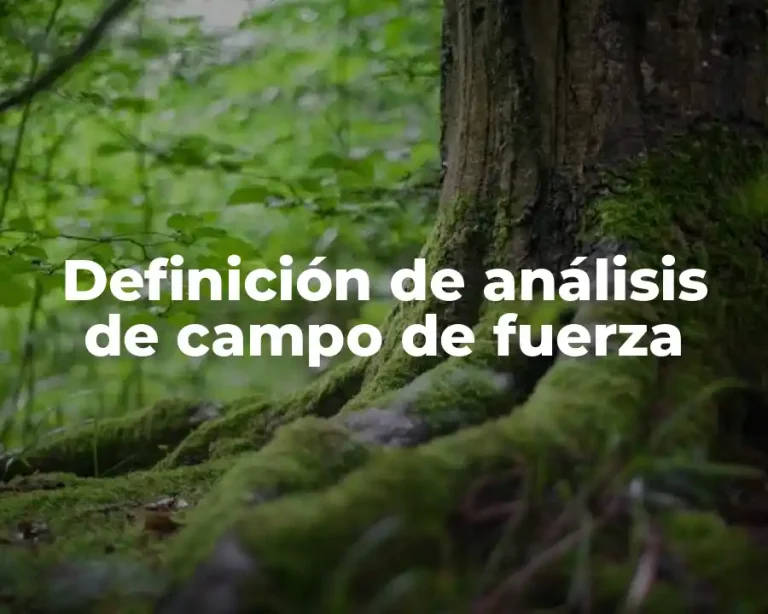 Definición de análisis de campo de fuerza