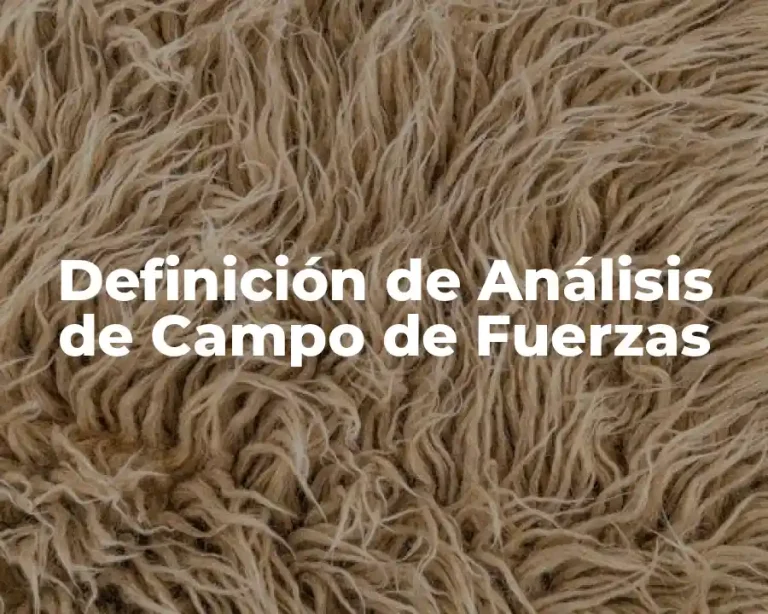 Definición de Análisis de Campo de Fuerzas